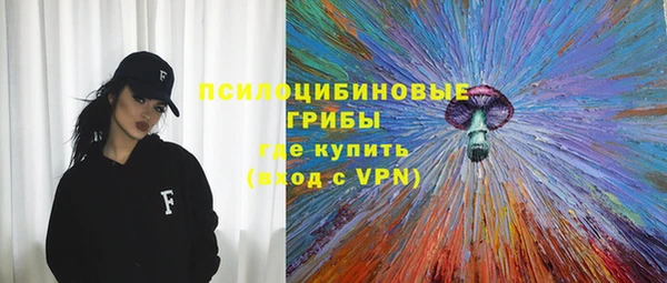дурь Алексин