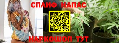 стаф Краснодар