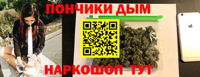 сатива Краснознаменск