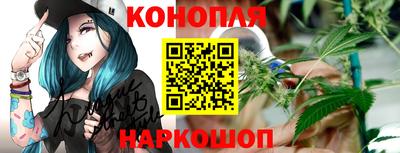 сатива Краснокаменск
