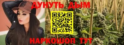 сатива Краснокаменск