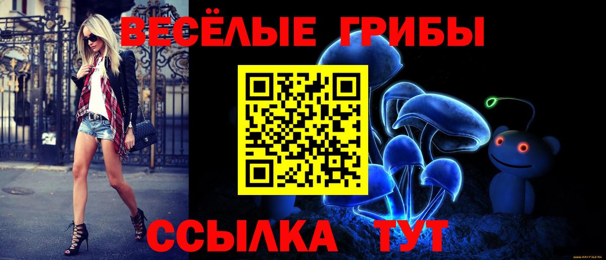 Псилоцибиновые грибы MAGIC MUSHROOMS  Вход с VPN  Магадан  Псилоцибиновые грибы Magic Shrooms 