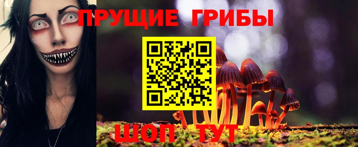 Псилоцибиновые грибы мухоморы Магадан